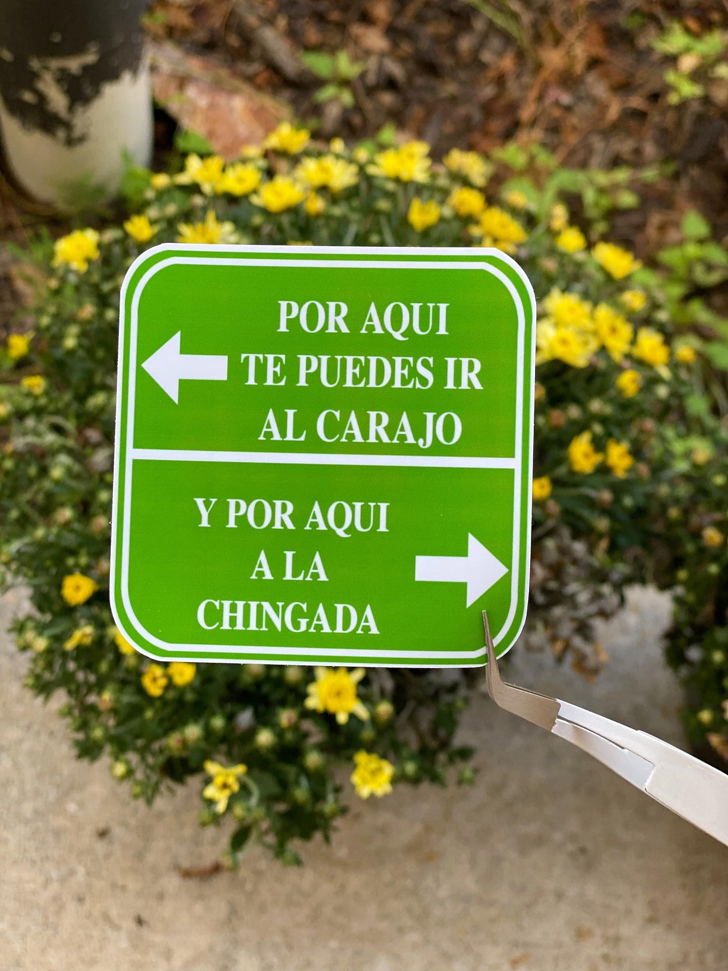 Por Aqui Te Puedes Ir al Carajo, Y Por Aqui A La Chingada | Funny Spanish Street Signs Holographic Sticker |  Spanish Phrases | Latino Humor