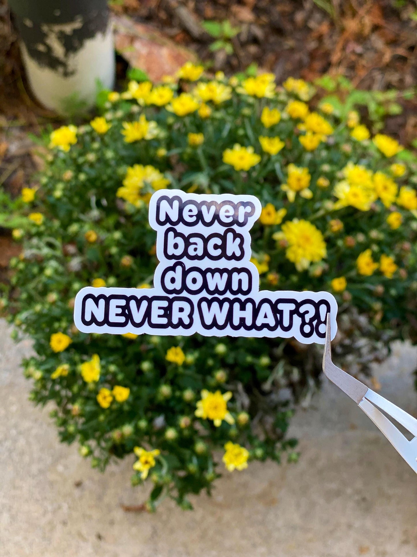 Never back down never what! funny Vinyl Sticker | Funny Stickers | Vinyl Stickers | Adult Stickers