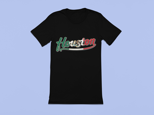 Houston Mexican Flag